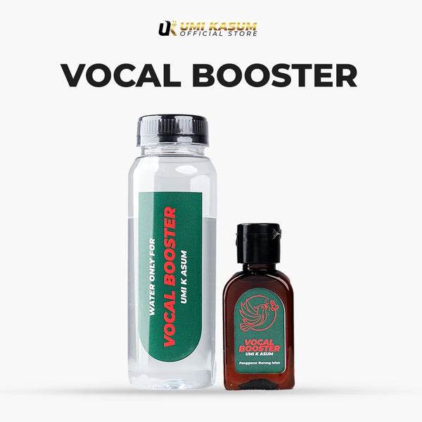 Vocal Booster