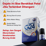 G24 by Umi Kasum