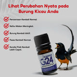 G24 by Umi Kasum