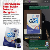 G24 by Umi Kasum