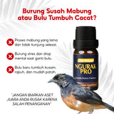 Ngurak Pro by Umi Kasum