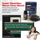 Ngurak Pro by Umi Kasum