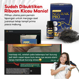 Ngurak Pro by Umi Kasum