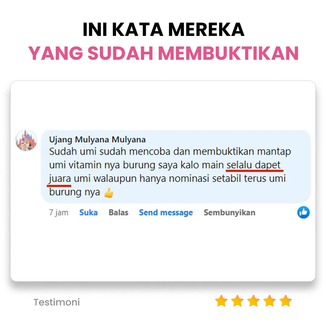 section-testimoni2_11zon.webp