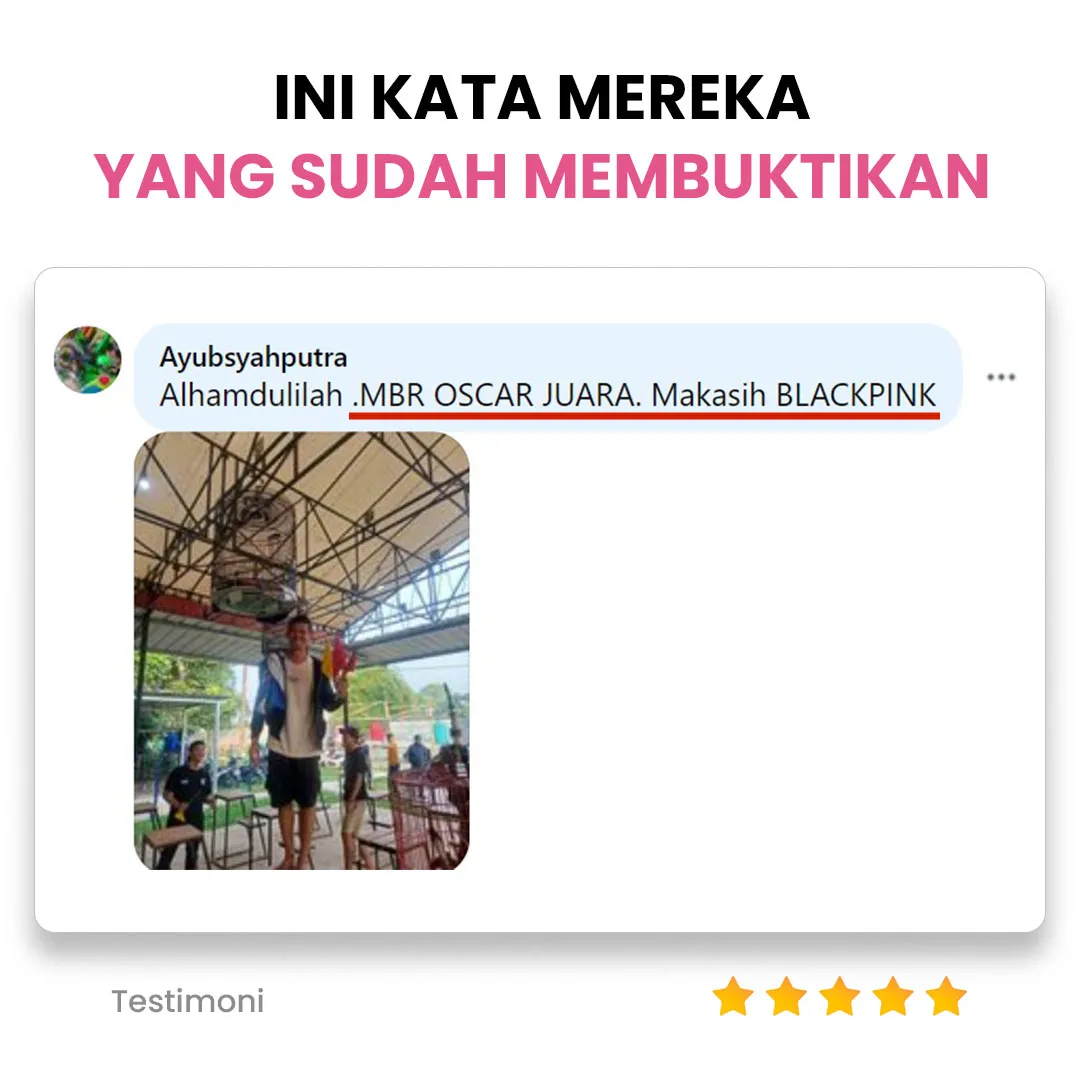 section-testimoni4_11zon.webp