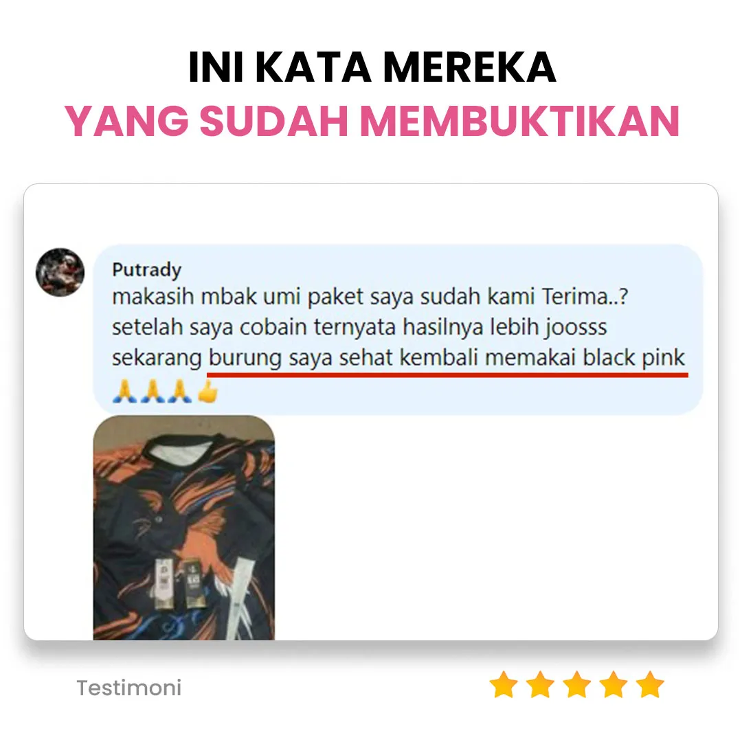 section-testimoni5_11zon.webp